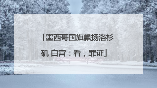 墨西哥国旗飘扬洛杉矶 白宫：看，罪证