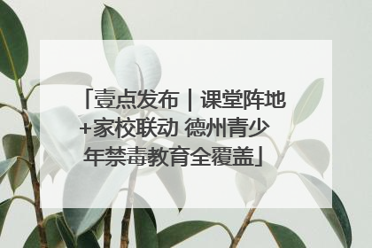 壹点发布｜课堂阵地+家校联动 德州青少年禁毒教育全覆盖