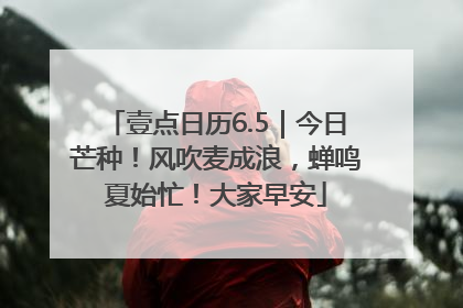 壹点日历6.5｜今日芒种！风吹麦成浪，蝉鸣夏始忙！大家早安