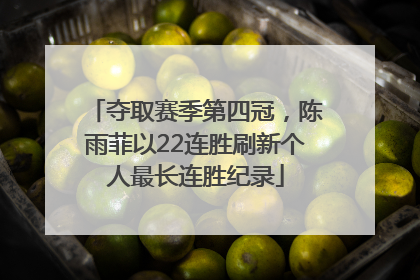 夺取赛季第四冠，陈雨菲以22连胜刷新个人最长连胜纪录