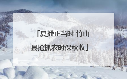 夏播正当时 竹山县抢抓农时保秋收