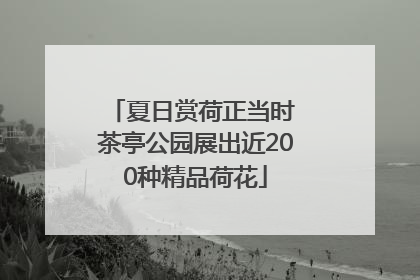 夏日赏荷正当时 茶亭公园展出近200种精品荷花