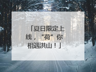 夏日限定上线，“荷”你相遇洪山！