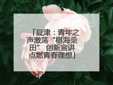 夏津：青年之声激荡“椹海桑田” 创新宣讲点燃青春理想