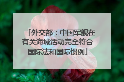外交部：中国军舰在有关海域活动完全符合国际法和国际惯例