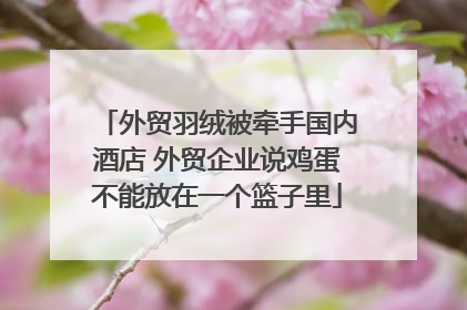 外贸羽绒被牵手国内酒店 外贸企业说鸡蛋不能放在一个篮子里