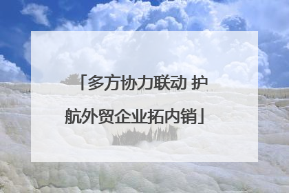 多方协力联动 护航外贸企业拓内销
