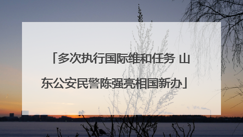 多次执行国际维和任务 山东公安民警陈强亮相国新办