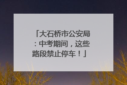 大石桥市公安局：中考期间，这些路段禁止停车！