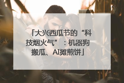 大兴西瓜节的“科技烟火气”：机器狗搬瓜、AI摊煎饼