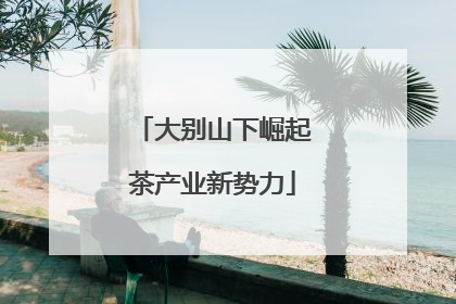 大别山下崛起茶产业新势力