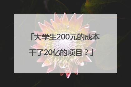大学生200元的成本干了20亿的项目？