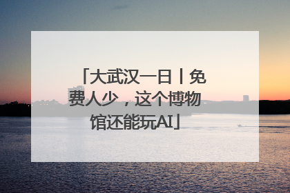 大武汉一日丨免费人少，这个博物馆还能玩AI