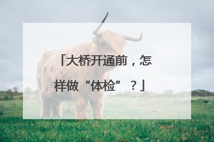 大桥开通前，怎样做“体检”？
