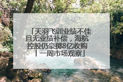 天羽飞训业绩不佳且无业绩补偿，海航控股仍豪掷8亿收购丨一周市场观察