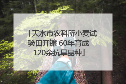 天水市农科所小麦试验田开镰 60年育成120余抗旱品种
