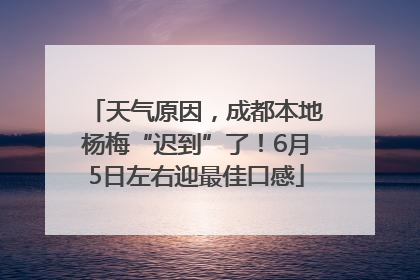 天气原因，成都本地杨梅“迟到”了！6月5日左右迎最佳口感