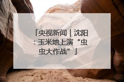 央视新闻｜沈阳：玉米地上演“虫虫大作战”