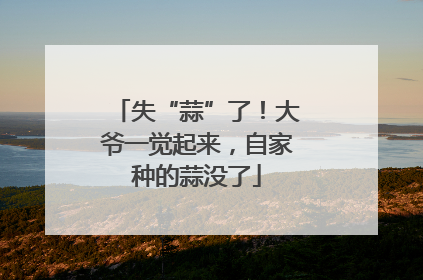 失“蒜”了！大爷一觉起来，自家种的蒜没了