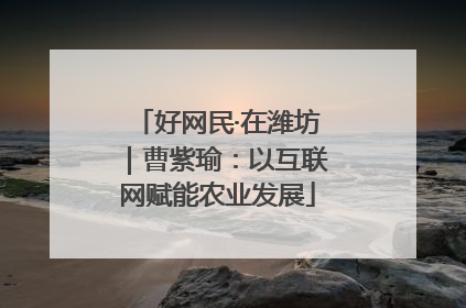 好网民·在潍坊｜曹紫瑜：以互联网赋能农业发展