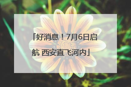 好消息！7月6日启航 西安直飞河内