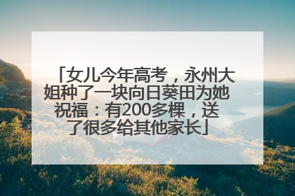 女儿今年高考，永州大姐种了一块向日葵田为她祝福：有200多棵，送了很多给其他家长