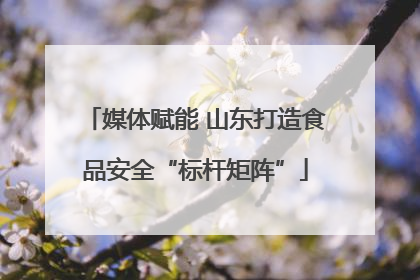 媒体赋能 山东打造食品安全“标杆矩阵”