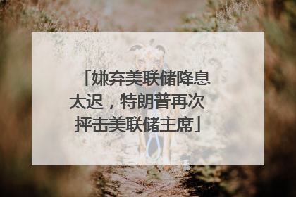 嫌弃美联储降息太迟，特朗普再次抨击美联储主席