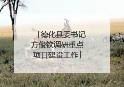 德化县委书记方俊钦调研重点项目建设工作