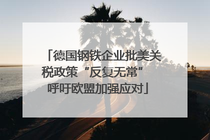 德国钢铁企业批美关税政策“反复无常” 呼吁欧盟加强应对