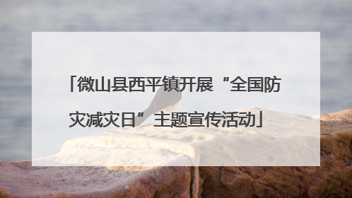 微山县西平镇开展“全国防灾减灾日”主题宣传活动