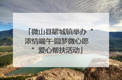 微山县驩城镇举办“浓情端午·圆梦微心愿”爱心帮扶活动