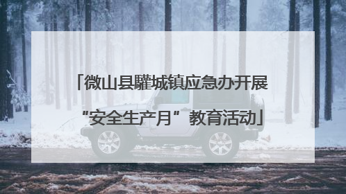 微山县驩城镇应急办开展“安全生产月”教育活动