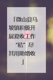 微山县马坡镇积极开展夏收工作 “秸”尽其用助增收