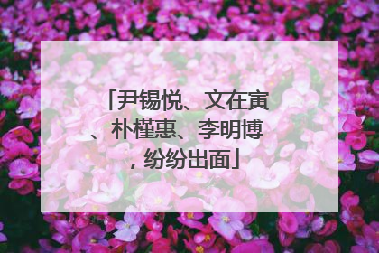 尹锡悦、文在寅、朴槿惠、李明博，纷纷出面
