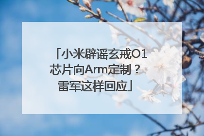 小米辟谣玄戒O1芯片向Arm定制？雷军这样回应