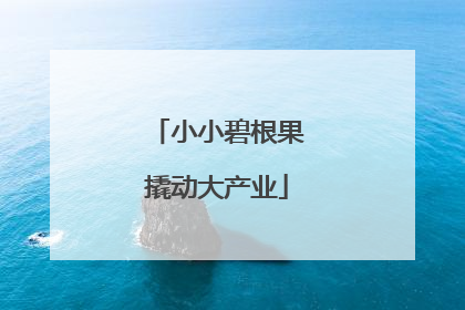小小碧根果撬动大产业
