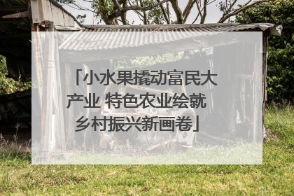 小水果撬动富民大产业 特色农业绘就乡村振兴新画卷
