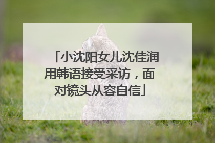 小沈阳女儿沈佳润用韩语接受采访，面对镜头从容自信
