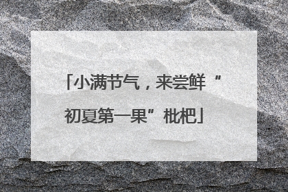 小满节气，来尝鲜“初夏第一果”枇杷