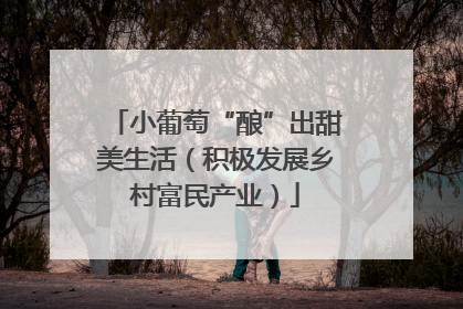 小葡萄“酿”出甜美生活（积极发展乡村富民产业）