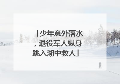 少年意外落水，退役军人纵身跳入湖中救人