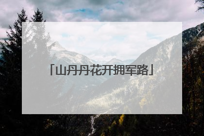 山丹丹花开拥军路