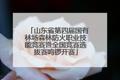 山东省第四届国有林场森林防火职业技能竞赛暨全国竞赛选拔赛鸣锣开赛
