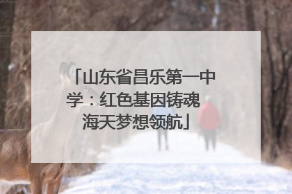 山东省昌乐第一中学：红色基因铸魂 海天梦想领航