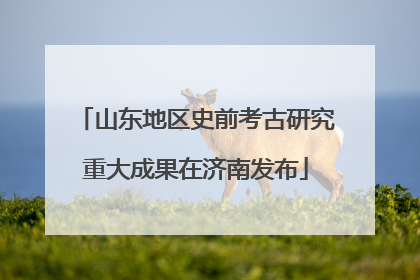 山东地区史前考古研究重大成果在济南发布