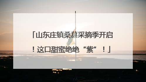 山东庄镇桑葚采摘季开启！这口甜蜜绝绝“紫”！