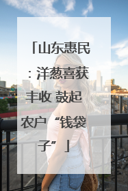 山东惠民：洋葱喜获丰收 鼓起农户“钱袋子”