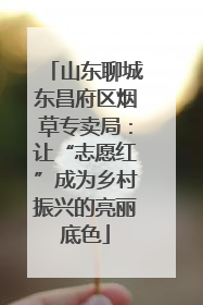 山东聊城东昌府区烟草专卖局：让“志愿红”成为乡村振兴的亮丽底色