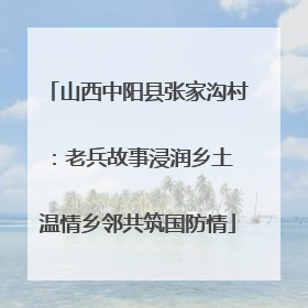 山西中阳县张家沟村：老兵故事浸润乡土 温情乡邻共筑国防情